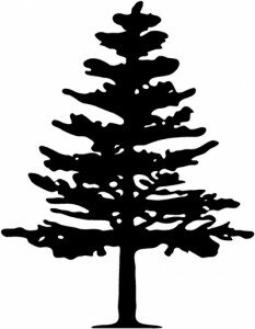 Pine Tree